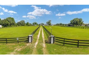 1699 165TH COURT ROAD, DUNNELLON, FL 34432 - MLS#MFROM710896