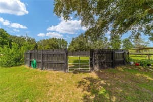 1699 165TH COURT ROAD, DUNNELLON, FL 34432 - MLS#MFROM710896