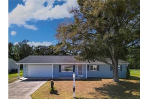 10677 174TH LOOP, SUMMERFIELD, FL 34491 - MLS#MFROM710900