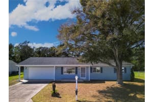 10677 174TH LOOP, SUMMERFIELD, FL 34491 - MLS#MFROM710900