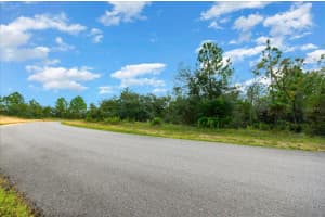 6731 PAVILION LOOP, CITRUS SPRINGS, FL 34433 - MLS#MFROM710901