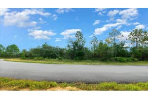 6731 PAVILION LOOP, CITRUS SPRINGS, FL 34433 - MLS#MFROM710901