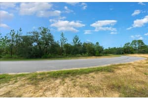 6731 PAVILION LOOP, CITRUS SPRINGS, FL 34433 - MLS#MFROM710901