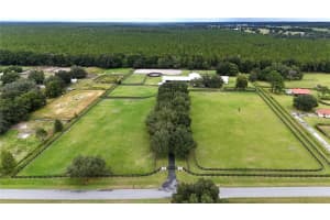 21051 42ND STREET, MORRISTON, FL 32668 - MLS#MFROM710904