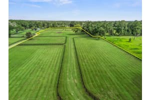 NW 100TH, OCALA, FL 34482 - MLS#MFROM710915