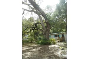 20425 Ne 143rd St, FORT MC COY 20425 Ne 143rd St, FORT MC COY