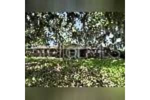 1819 12TH AVENUE, OCALA, FL 34471 - MLS#MFROM711001