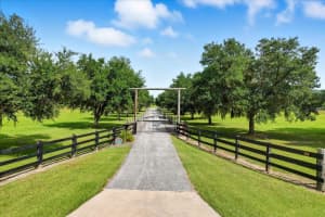 9897 160 AVENUE, MORRISTON, FL 32668 - MLS#MFROM711042
