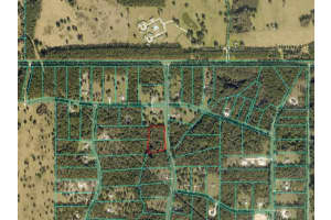 TBD 145TH AVENUE, WILLISTON, FL 32696 - MLS#MFROM711062
