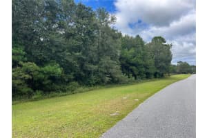 TBD 145TH AVENUE, WILLISTON, FL 32696 - MLS#MFROM711062