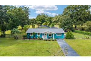 39337 MEYERS ROAD, LADY LAKE, FL 32159 - MLS#MFROM711084
