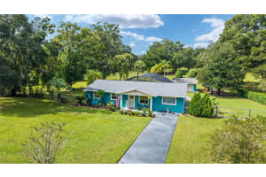 39337 MEYERS ROAD, LADY LAKE, FL 32159 - MLS#MFROM711084