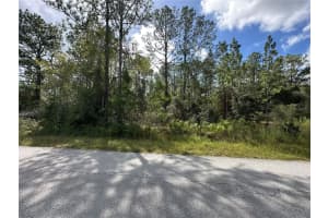 TBD AUDUBON AVENUE, DUNNELLON, FL 34431 - MLS#MFROM711101