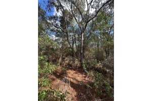 TBD AUDUBON AVENUE, DUNNELLON, FL 34431 - MLS#MFROM711101