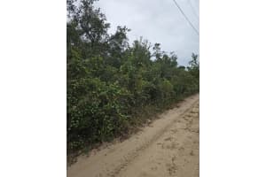 Lots 33:34:35 140TH PLACE, UMATILLA, FL 32784 - MLS#MFROM711103