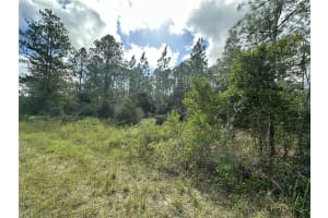 000 AUDUBON AVENUE, DUNNELLON, FL 34431 - MLS#MFROM711108