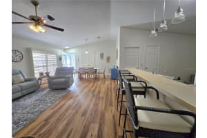 16900 81ST ELLERSLIE COURT, THE VILLAGES, FL 32162 - MLS#MFROM711133