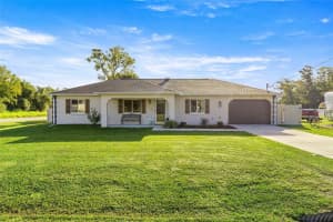 13 SPRUCE PASS, OCALA, FL 34472 - MLS#MFROM711134