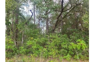 9858 JOURDEN DRIVE, CITRUS SPRINGS, FL 34434 - MLS#MFROM711139