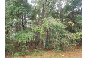 9858 JOURDEN DRIVE, CITRUS SPRINGS, FL 34434 - MLS#MFROM711139