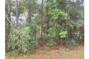 9858 JOURDEN DRIVE, CITRUS SPRINGS, FL 34434 - MLS#MFROM711139