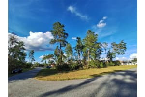 0 55 AVEMIE ROAD, OCALA, FL 34473 - MLS#MFROM711172