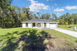 13341 12TH STREET ROAD, OCALA, FL 34481 - MLS#MFROM711187