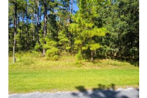 NW 148TH LN, WILLISTON, FL 32696 - MLS#MFROM711194