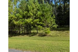 NW 148TH LN, WILLISTON, FL 32696 - MLS#MFROM711194