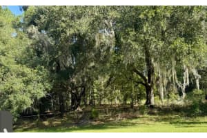 NW 148TH LN, WILLISTON, FL 32696 - MLS#MFROM711194