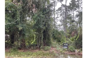 39 WHITTINGTON DRIVE, PALM COAST, FL 32164 - MLS#MFROM711207