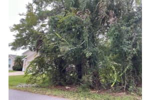 39 WHITTINGTON DRIVE, PALM COAST, FL 32164 - MLS#MFROM711207