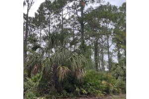 39 WHITTINGTON DRIVE, PALM COAST, FL 32164 - MLS#MFROM711207