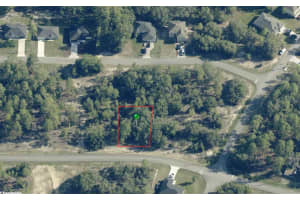 2799 GAUCHO DRIVE, CITRUS SPRINGS, FL 34434 - MLS#MFROM711227