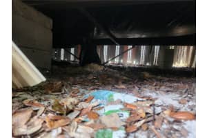 4575 167TH PLACE, CITRA, FL 32113 Sold 11/21/25