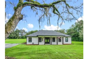 9903 33RD AVENUE, ANTHONY, FL 32617 - MLS#MFROM711232