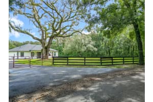 9903 33RD AVENUE, ANTHONY, FL 32617 - MLS#MFROM711232