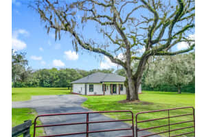 9903 33RD AVENUE, ANTHONY, FL 32617 - MLS#MFROM711232
