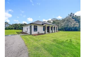 9903 33RD AVENUE, ANTHONY, FL 32617 - MLS#MFROM711232