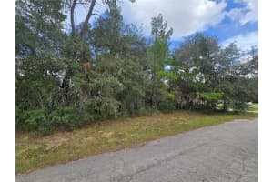 3006 CLEARWOOD STREET, INVERNESS, FL 34452 - MLS#MFROM711241