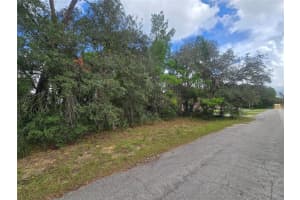3006 CLEARWOOD STREET, INVERNESS, FL 34452 - MLS#MFROM711241