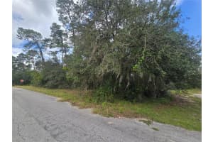 3006 CLEARWOOD STREET, INVERNESS, FL 34452 - MLS#MFROM711241