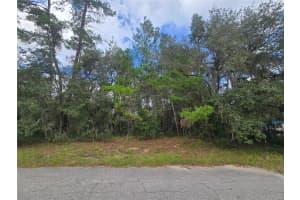 3006 CLEARWOOD STREET, INVERNESS, FL 34452 - MLS#MFROM711241