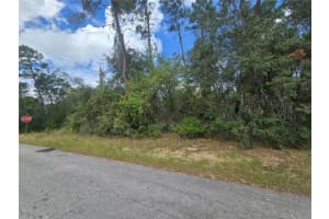 3008 CLEARWOOD STREET, INVERNESS, FL 34452 - MLS#MFROM711244