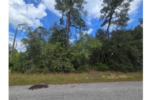 3008 CLEARWOOD STREET, INVERNESS, FL 34452 - MLS#MFROM711244