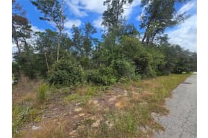 3008 CLEARWOOD STREET, INVERNESS, FL 34452 - MLS#MFROM711244