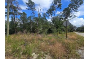 3008 CLEARWOOD STREET, INVERNESS, FL 34452 - MLS#MFROM711244