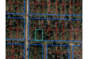 NE 15TH LANE, WILLISTON, FL 32696 - MLS#MFROM711245