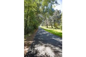 TBD NW 160TH AVE, WILLISTON, FL 32696 - MLS#MFROM711266