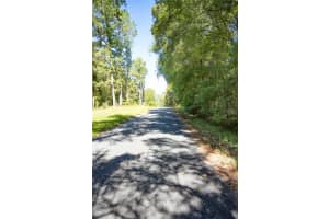 TBD NW 160TH AVE, WILLISTON, FL 32696 - MLS#MFROM711266